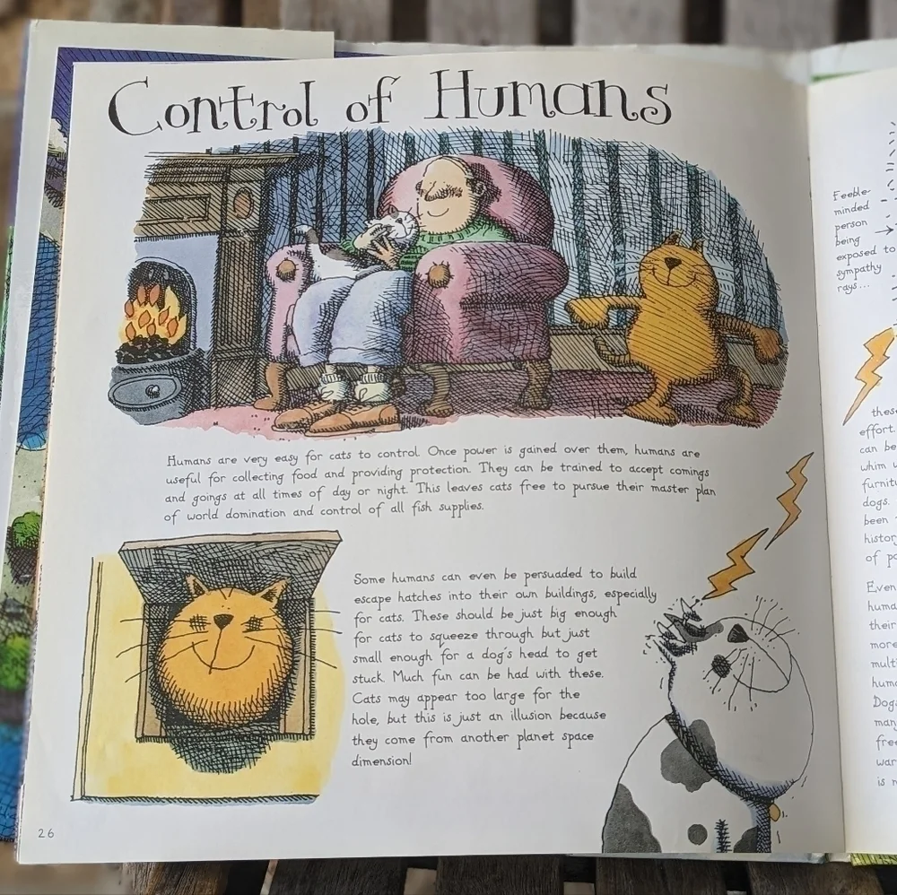 Vintage 1996 The Truth About Cats Coffee Table Book by Alan Snow